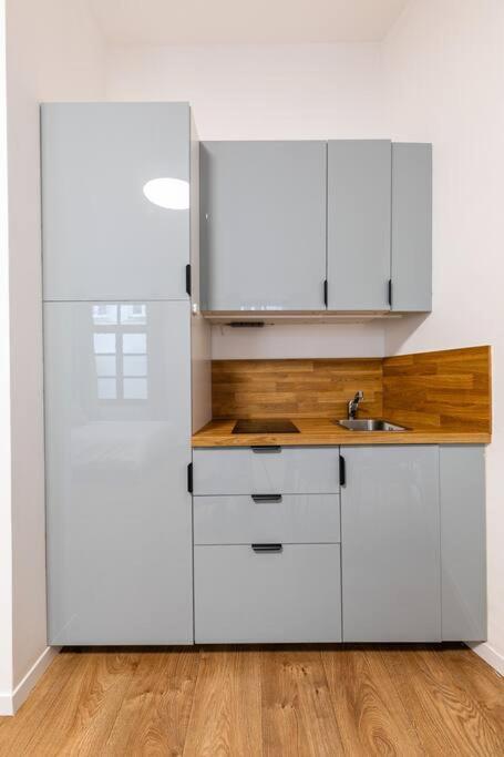 Tres Chic Studio/Petite France Strasbourg Luaran gambar
